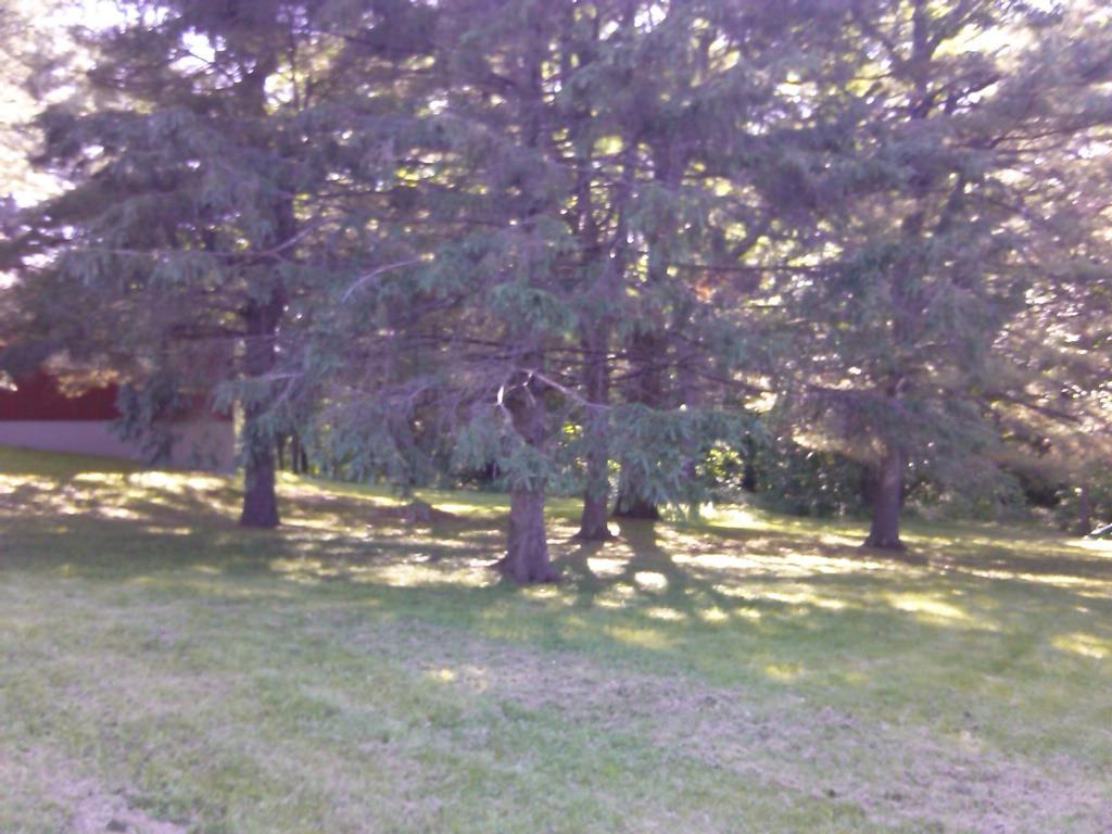 54 Unity Road Waterville, ME 04901 - Photo 11 of 14 Side lawn