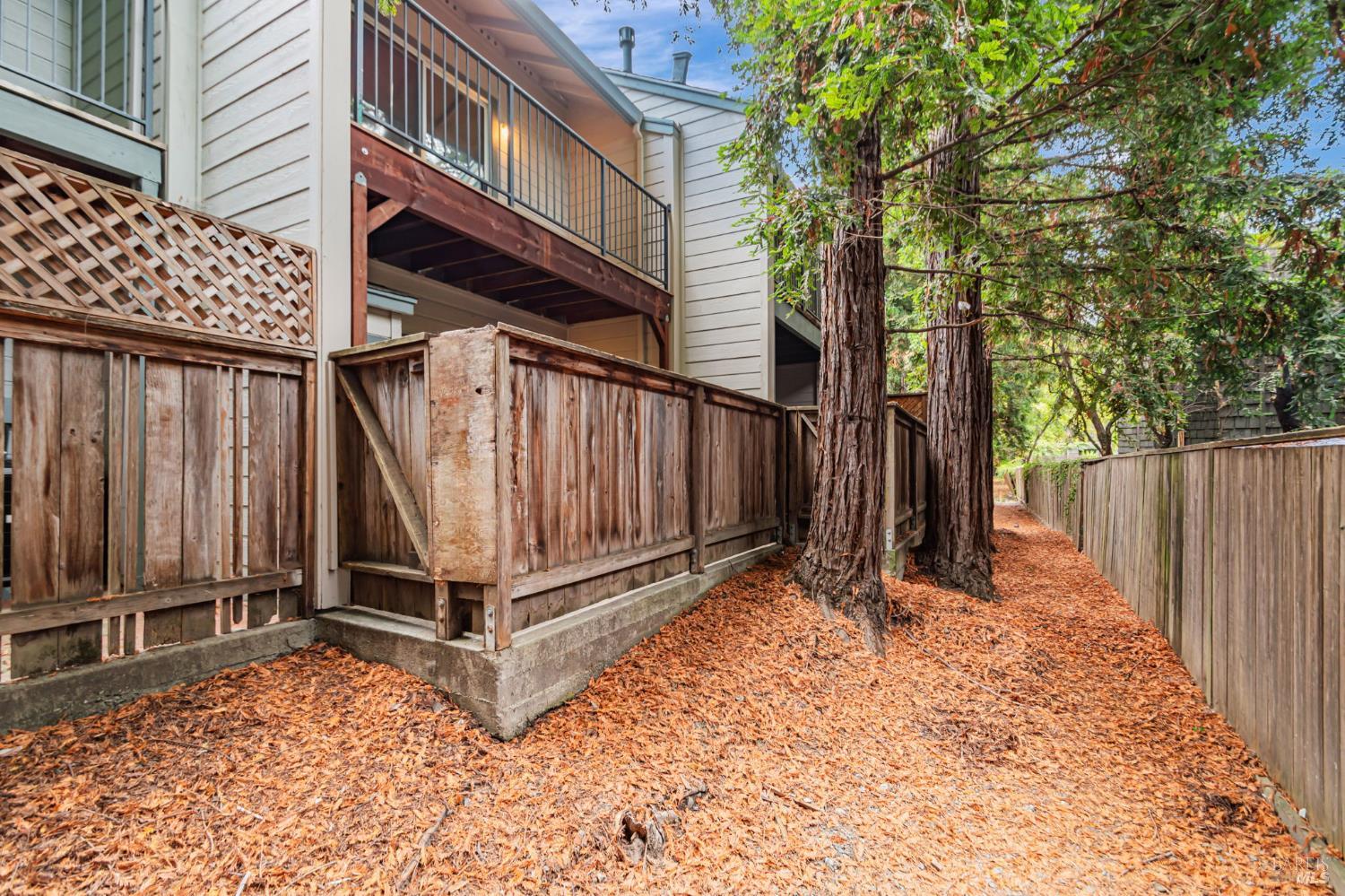 1239 Eardley Avenue Santa Rosa, CA 95401 - Photo 24 of 25 a view of a backyard with wooden fence and a large tree