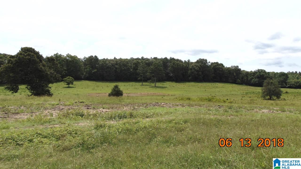 0 West Ashby Road Brierfield, AL 35035 - Photo 14 of 22