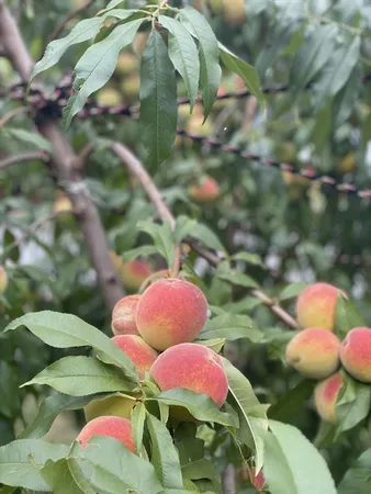 a view of an outdoor space
