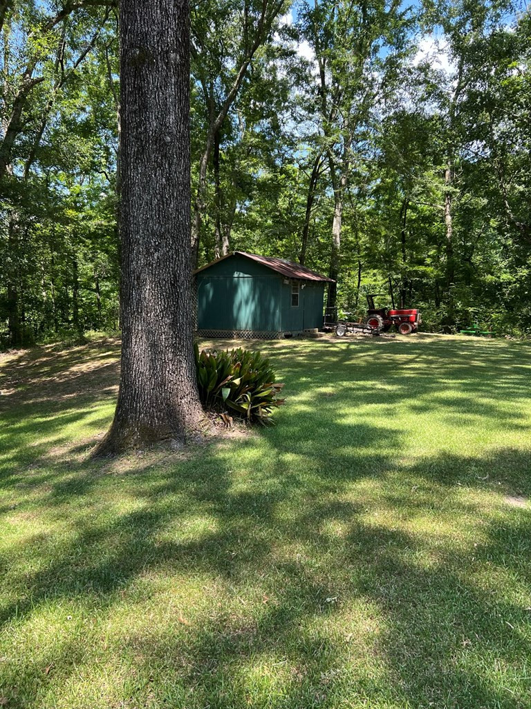 131 Dunbar Road Natchez, MS 39120 - Photo 20 of 23 Photo 20