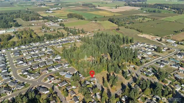 a picture of mountains and green field