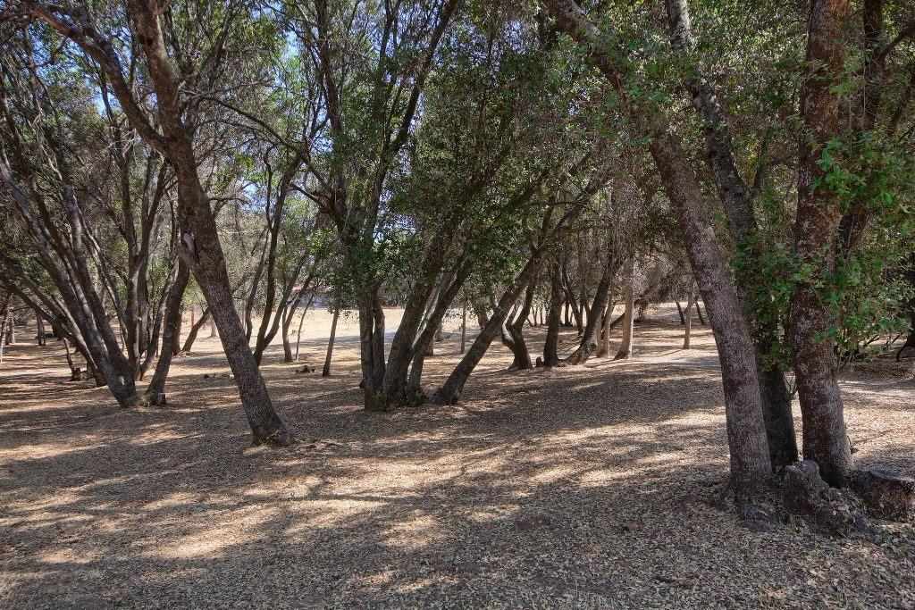 47179 Modoc Road Coarsegold, CA 93614 - Photo 40 of 47 Gallery Image 40