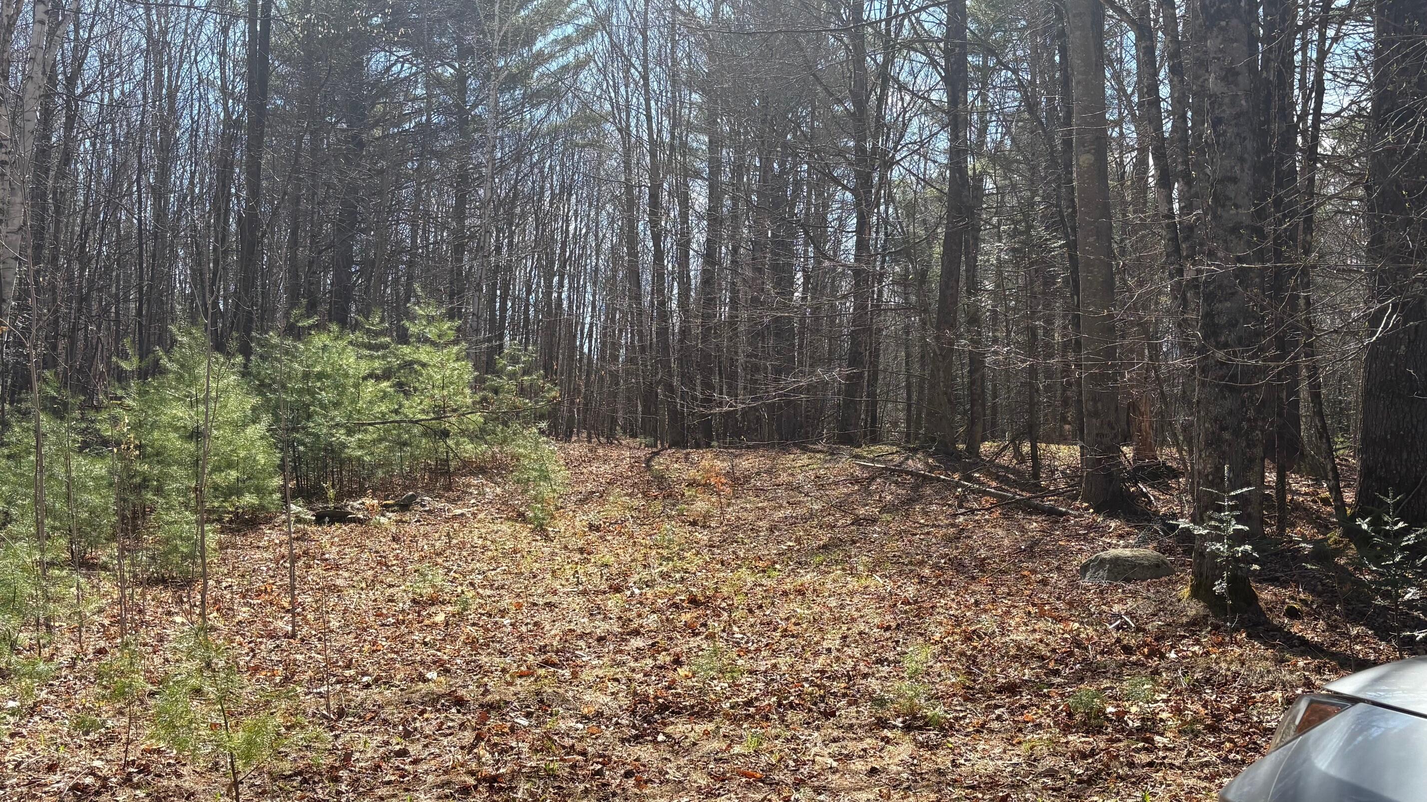 13 Mayhew Road Starks, ME 04911 - Photo 8 of 28