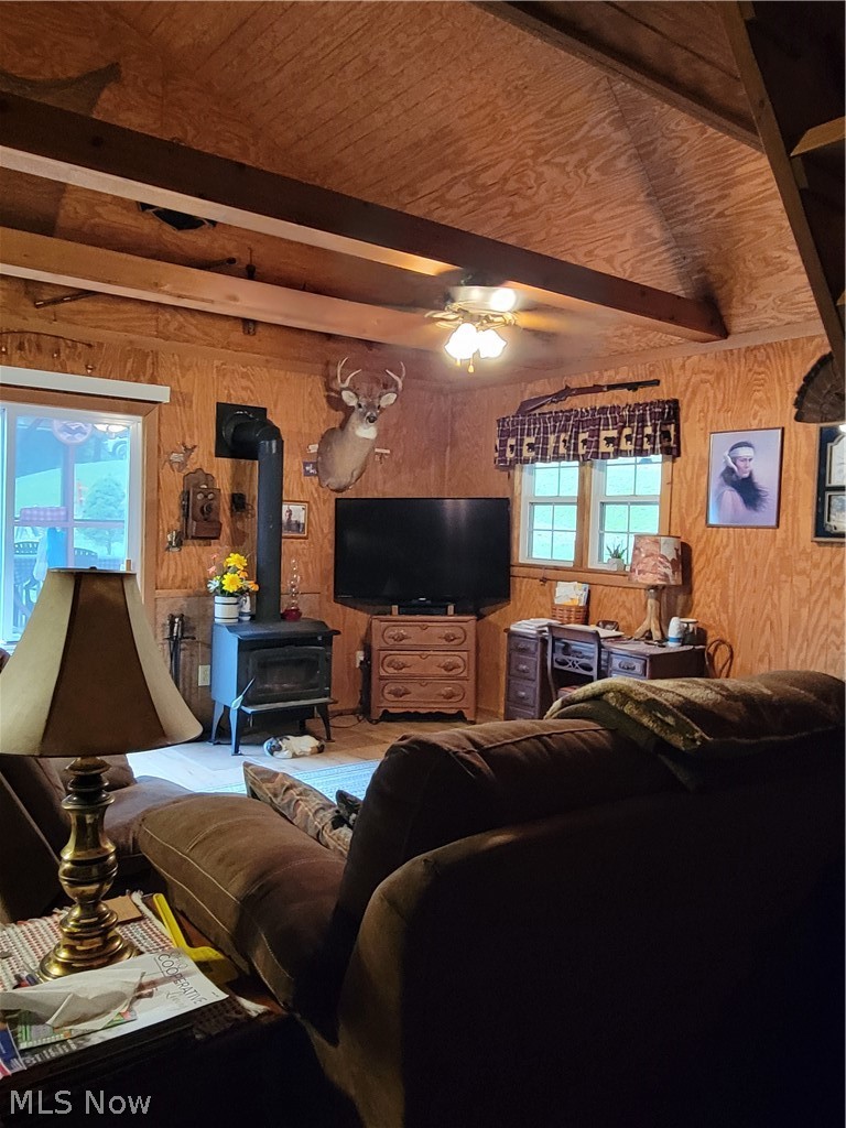 38126 Lower Clearfork Road Scio, OH 43988 - Photo 18 of 35