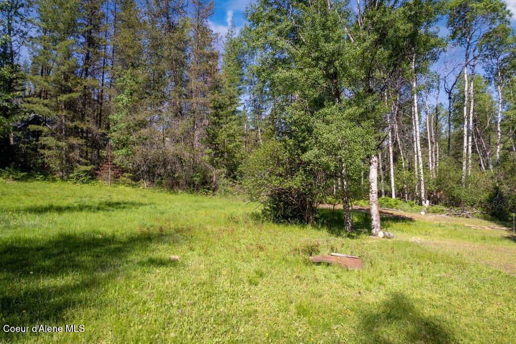 650 Lower Page Road Smelterville, ID 83868 - Photo 7 of 12 10432
