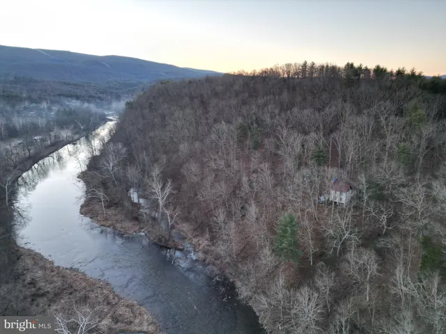 a view of a yard in the forest