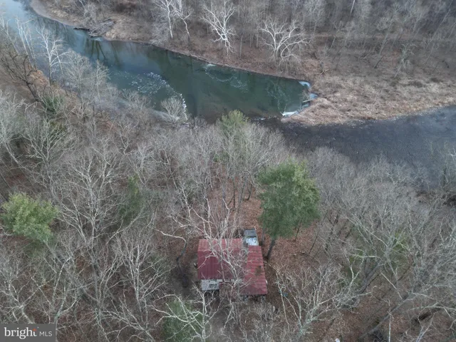 a view of a backyard with trees