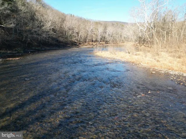 a view of a backyard of the house