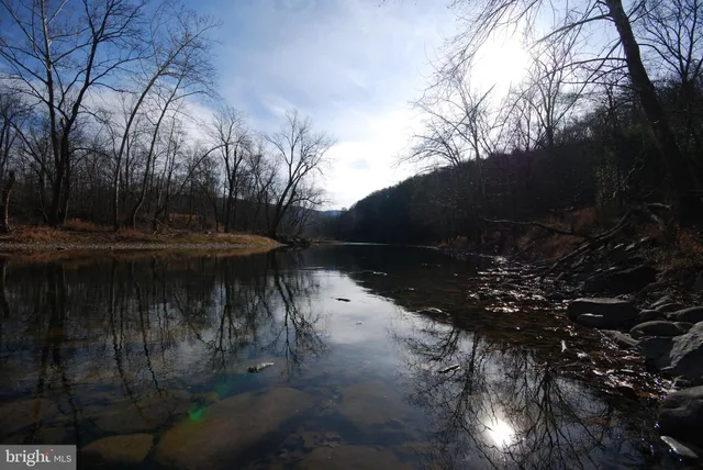 a view of outdoor space with lots of trees