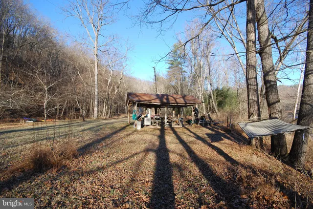 a view of a backyard with trees