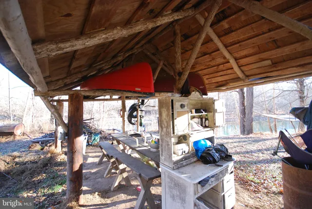 a view of a backyard with large trees