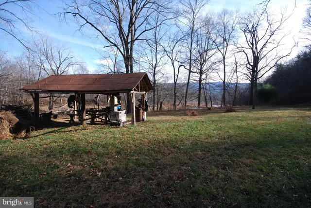 a view of a backyard with trees