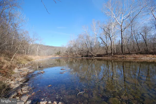 a view of a backyard with trees