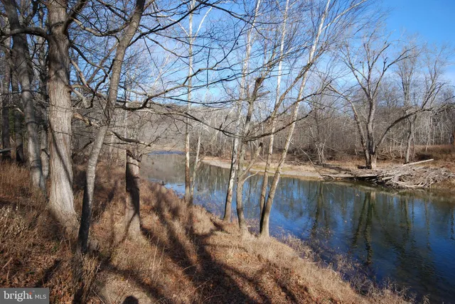 a view of outdoor space and tree s