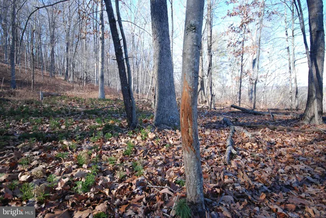 a view of an outdoor space with mountain view