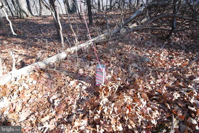 a view of an outdoor space with mountain view