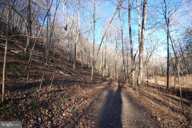 a view of a lake with houses in the background