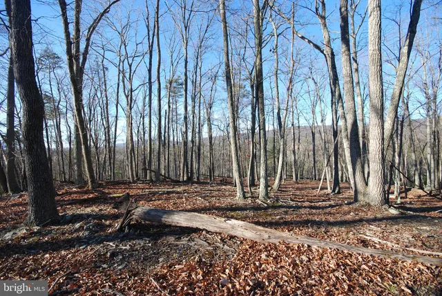 $825,000 | 30 Cavalier Way, Great Cacapon, WV 25422