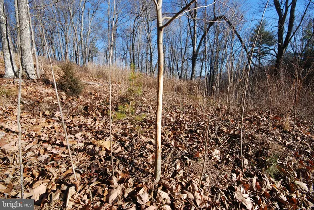 $825,000 | 30 Cavalier Way, Great Cacapon, WV 25422