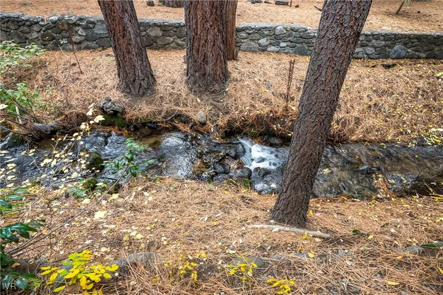 a view of a yard with lots of trees