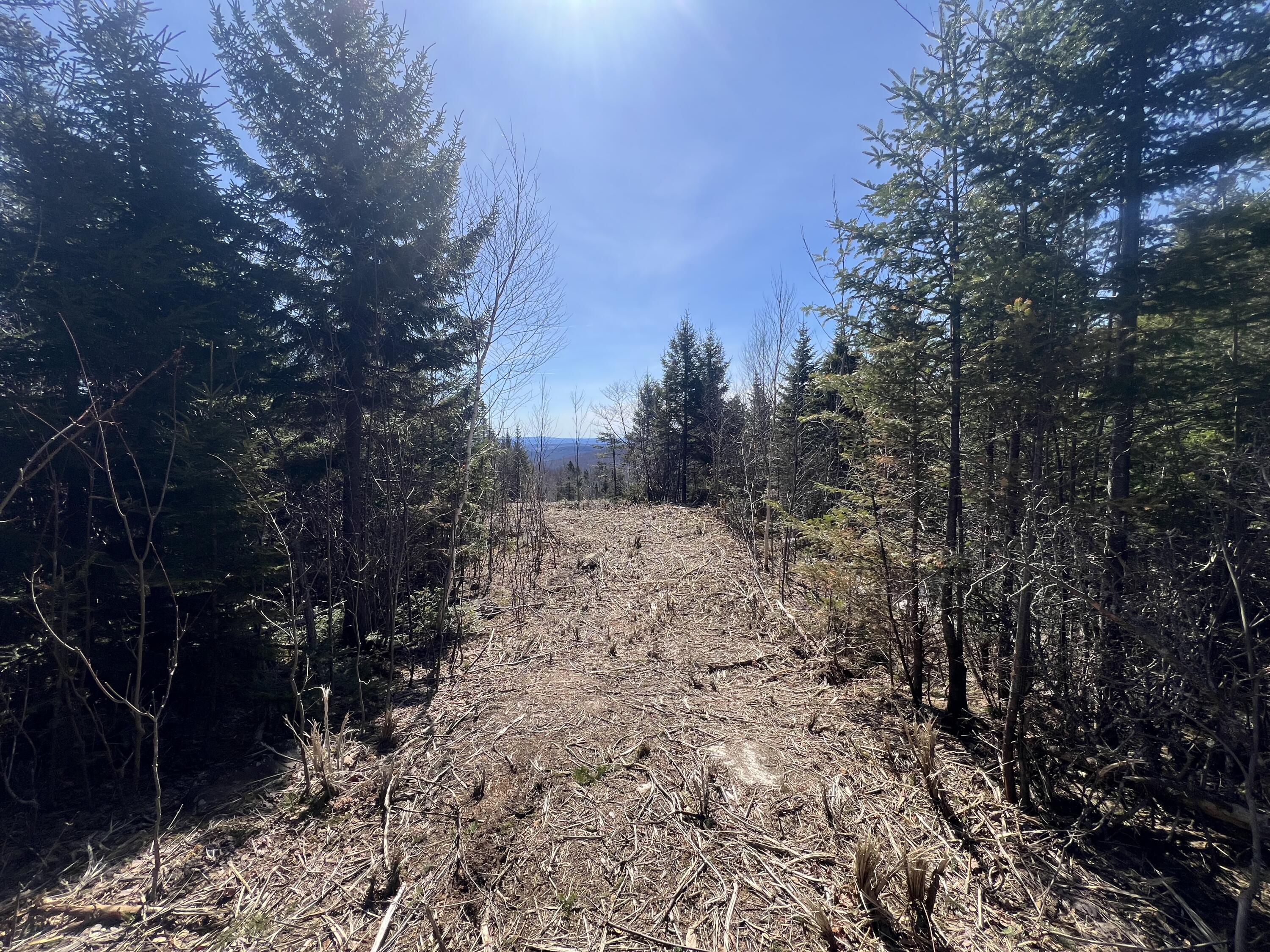 13 Moose Alley Road Wilton, ME 04294 - Photo 3 of 9