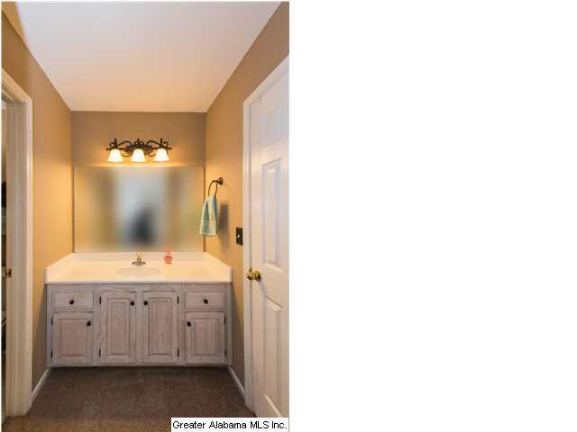 200 Wild Flower Trail Alabaster, AL 35007 - Photo 22 of 32