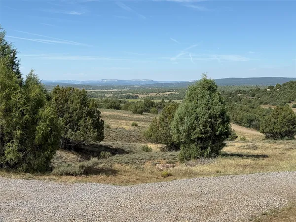 $70,000 | 196 Cr 341 Chama Nm 87520, Chama, NM 87520