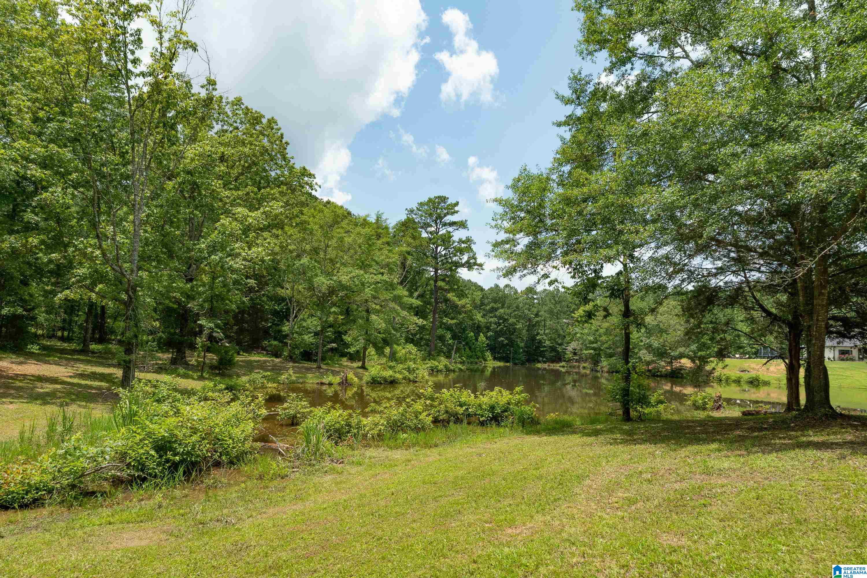340 Lake Cottage Road Sterrett, AL 35147 - Photo 55 of 83