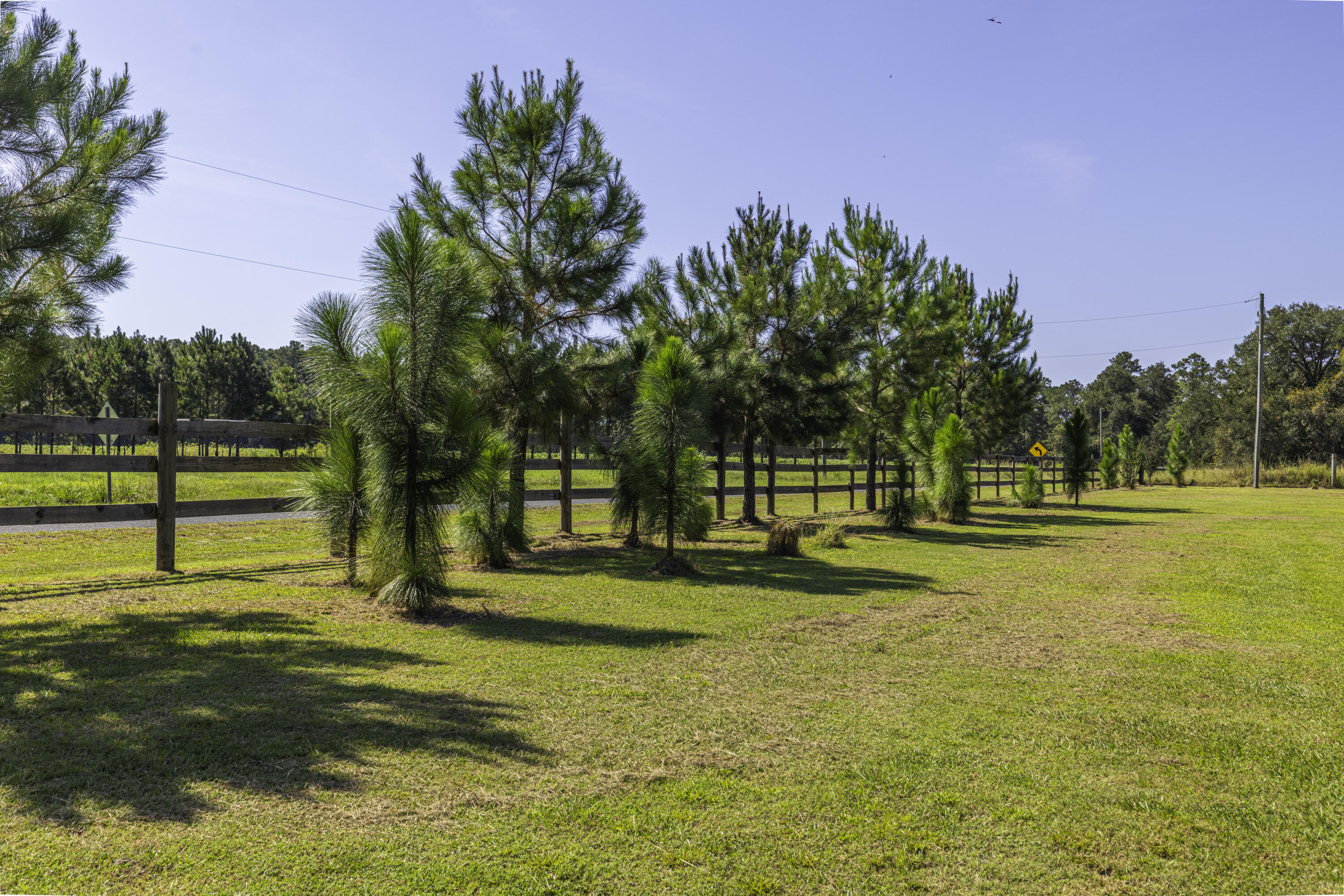 1014 Fire Hill Road Walterboro, SC 29488 - Photo 121 of 162 Trees Along Drive