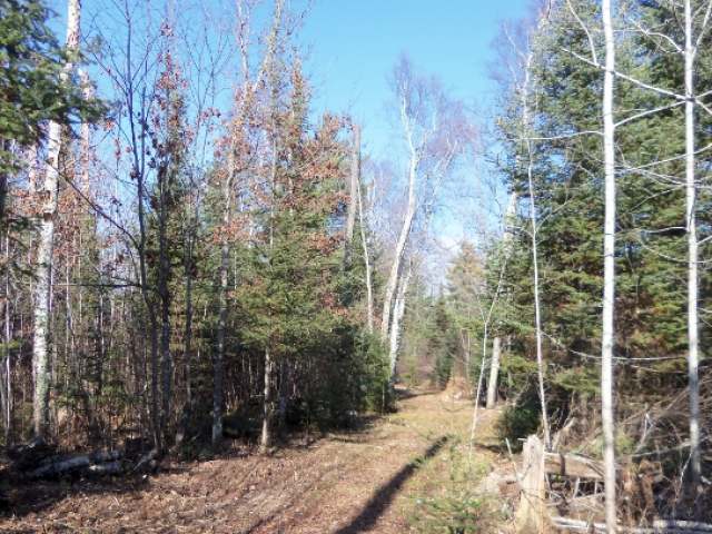 Lot 5 Lake Of The Falls Road Mercer, WI 54547 - Photo 12 of 20 Gallery Image 12