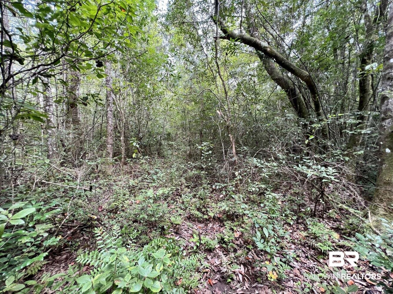 0 Bear Fork Road Mobile, AL 36618 - Photo 34 of 50