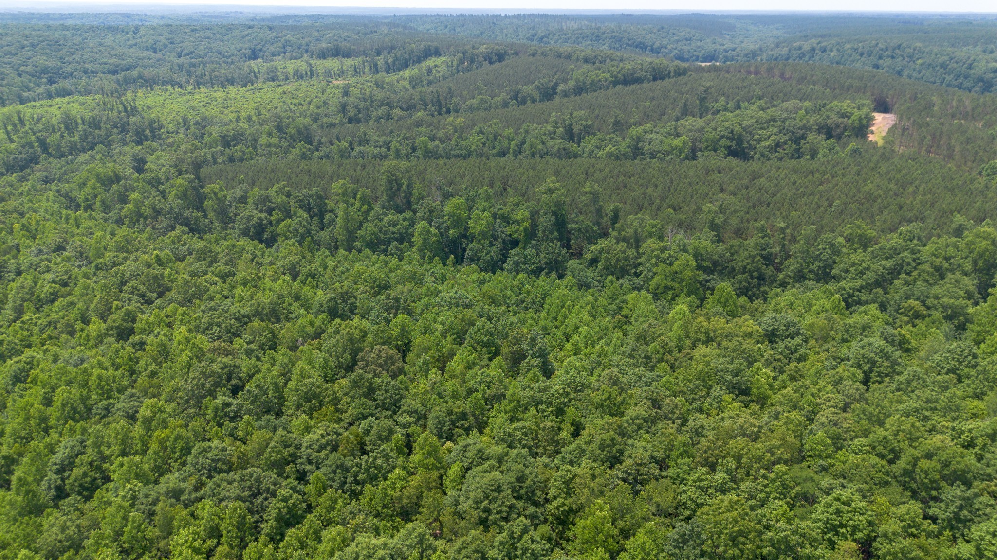 0 Mayfield Divide Road Centerville, TN 37033 - Photo 11 of 38 a view of a field of grass and trees
