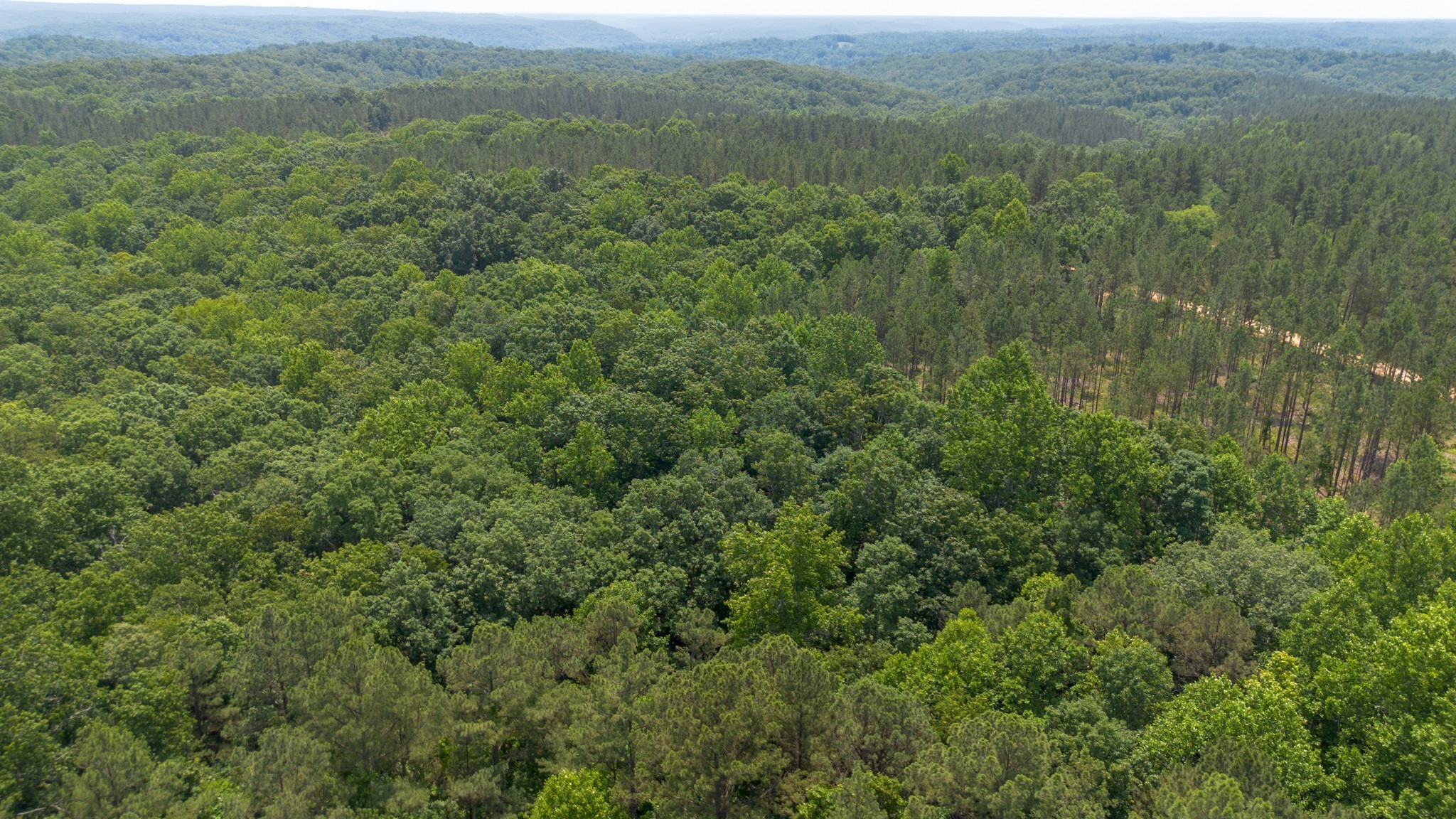0 Mayfield Divide Road Centerville, TN 37033 - Photo 15 of 38 a view of a green field with lots of trees