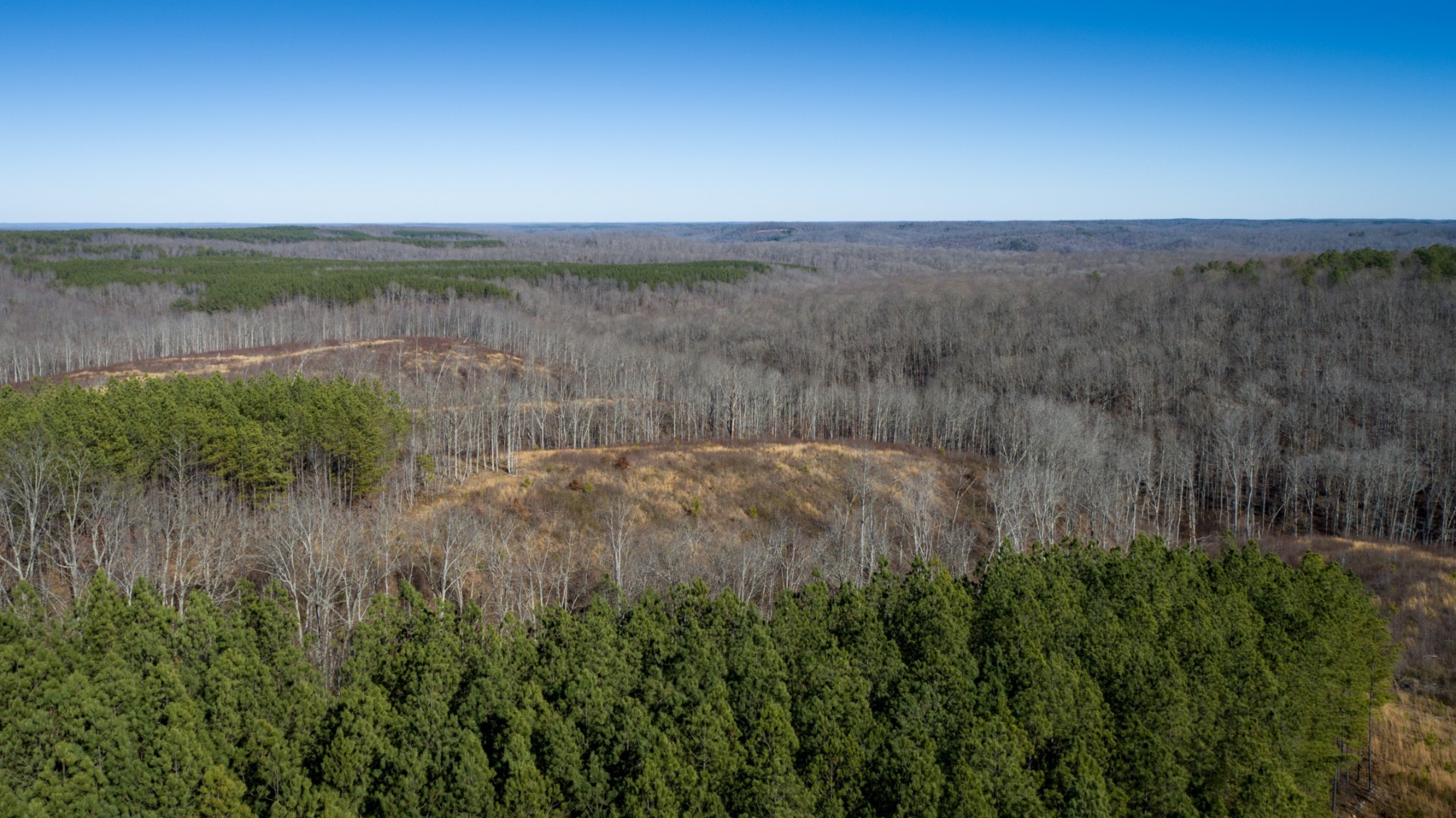 0 Mayfield Divide Road Centerville, TN 37033 - Photo 20 of 38 a view of a lake and green valley