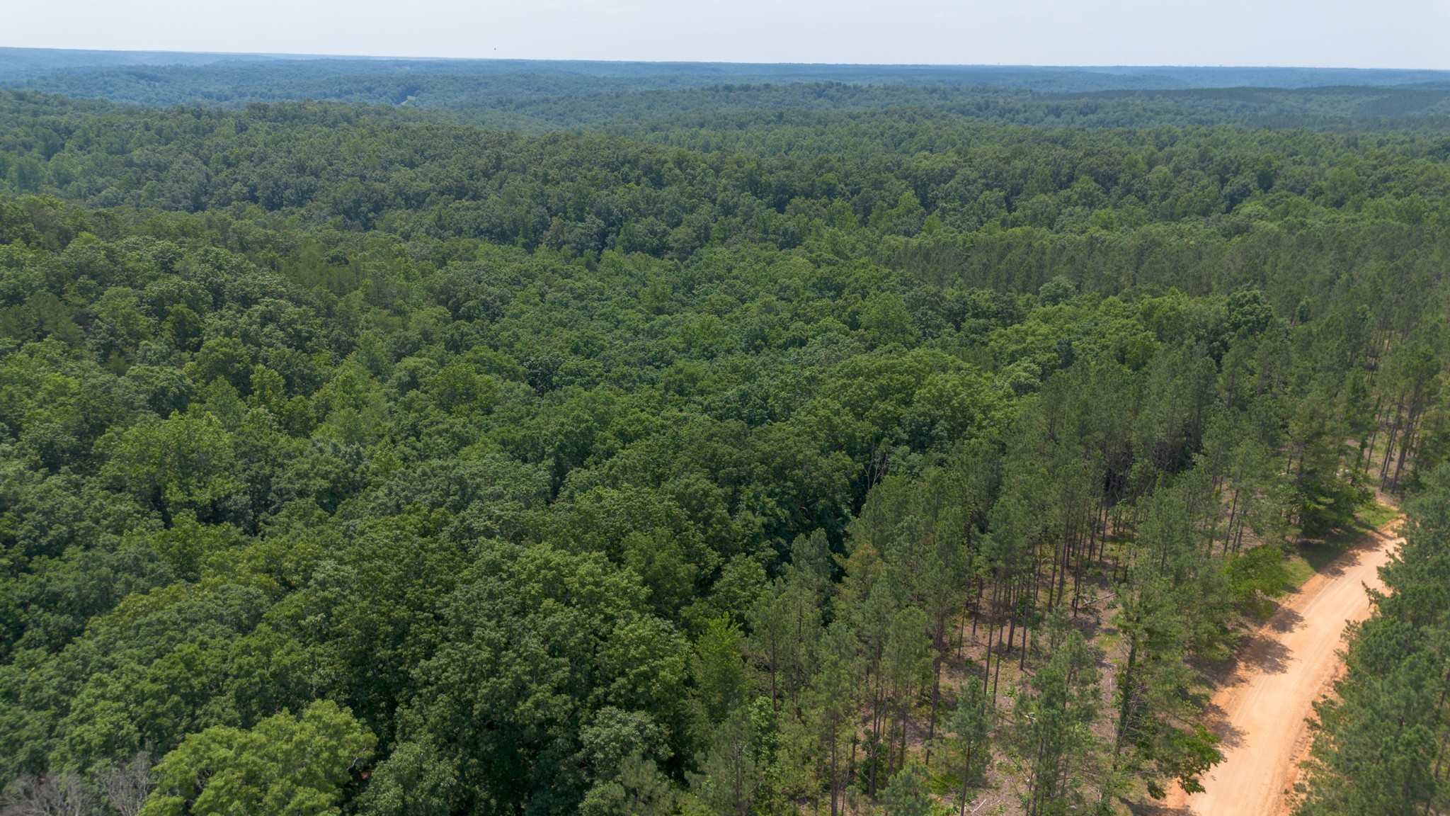 0 Mayfield Divide Road Centerville, TN 37033 - Photo 28 of 38 a view of a lush green forest with trees and some houses