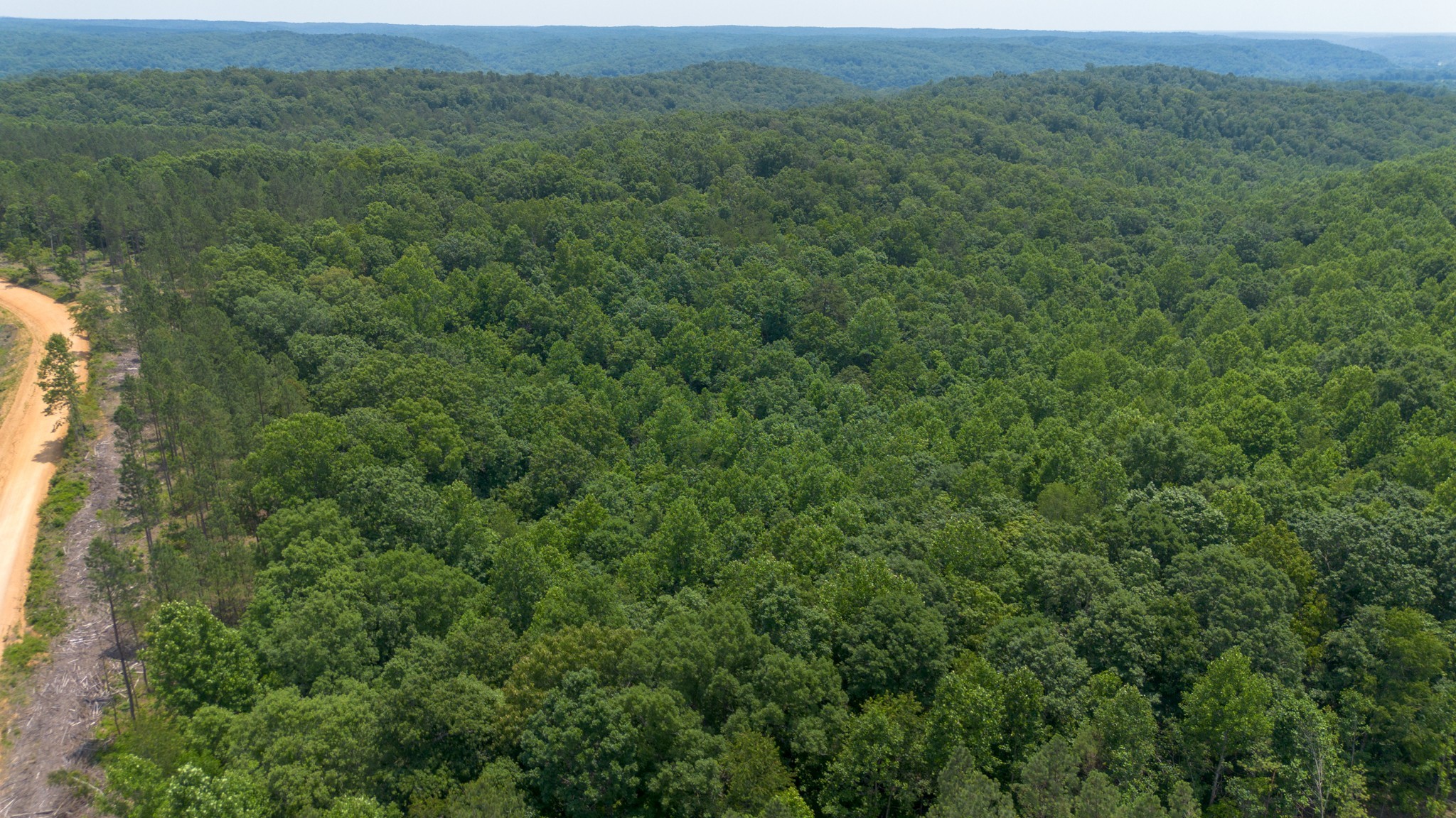 0 Mayfield Divide Road Centerville, TN 37033 - Photo 33 of 38 a view of a lush green forest with trees and some houses