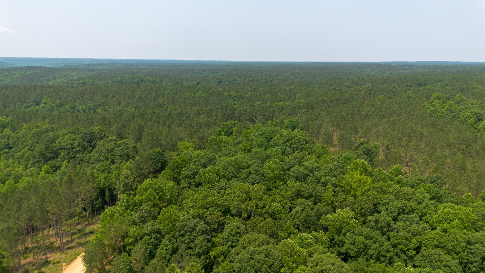 0 Mayfield Divide Road Centerville, TN 37033 - Photo 4 of 38 a view of a field with an ocean