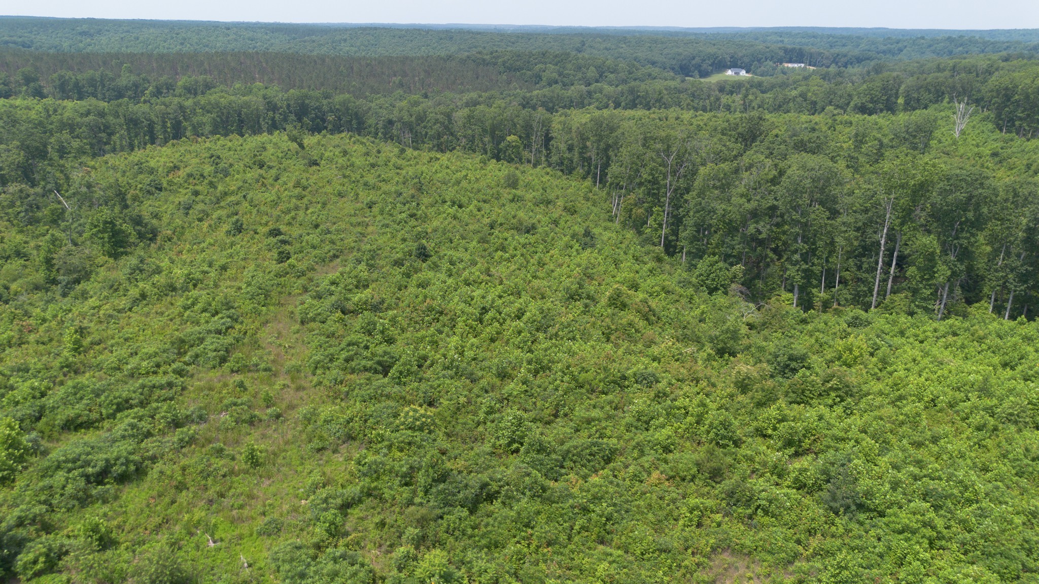 0 Mayfield Divide Road Centerville, TN 37033 - Photo 6 of 38 a view of a field of grass and trees