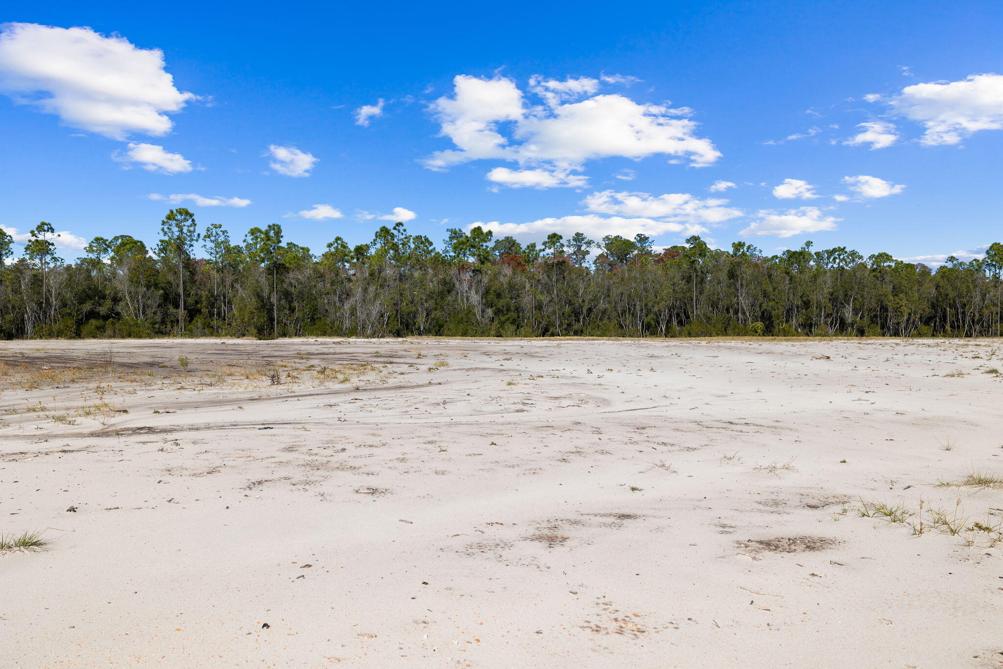 Lot 196 Sundew Place Dr Inlet Beach Inlet Beach, FL 32461 - Photo 6 of 16 a view of a dry yard with a tree