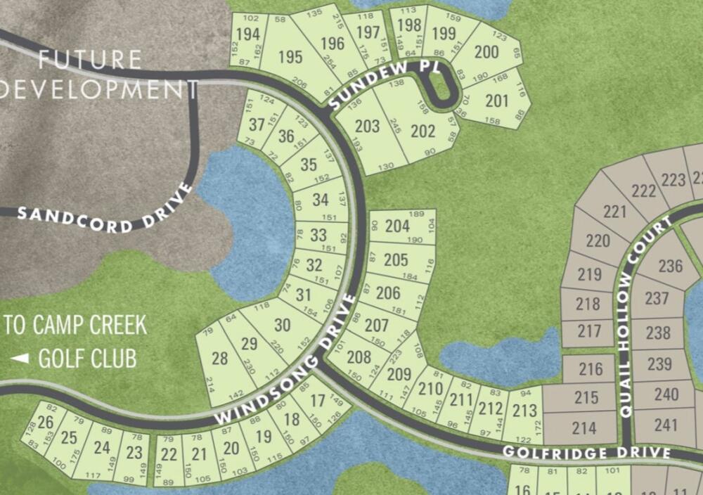 Lot 196 Sundew Place Dr Inlet Beach Inlet Beach, FL 32461 - Photo 7 of 16