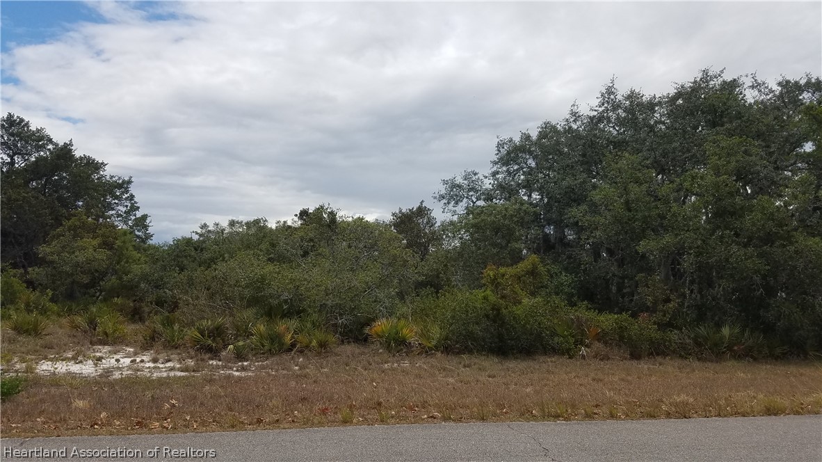 2149 North Cochrane Road Avon Park, FL 33825 - Photo 1 of 1 Gallery Image 1