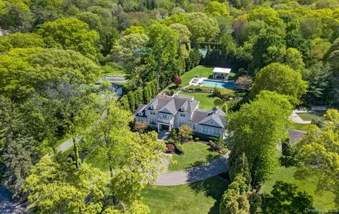 a view of a park with large trees
