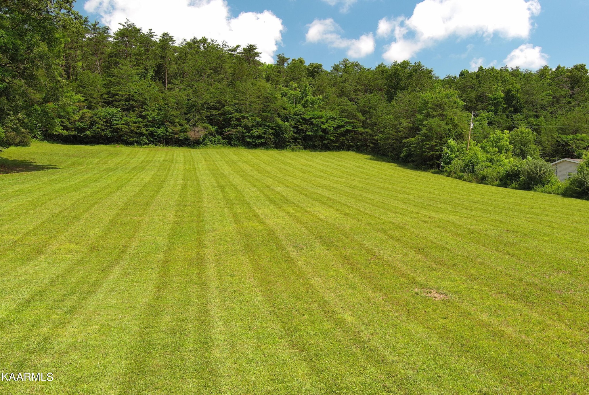 715 Deaderick Road Knoxville, TN 37920 - Photo 10 of 22 Gallery Image 10