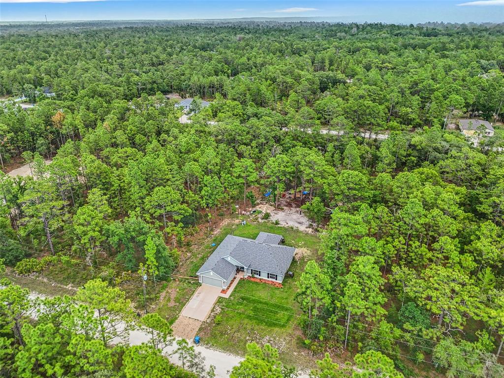 18336 Macek Road Weeki Wachee, FL 34614 - Photo 44 of 49