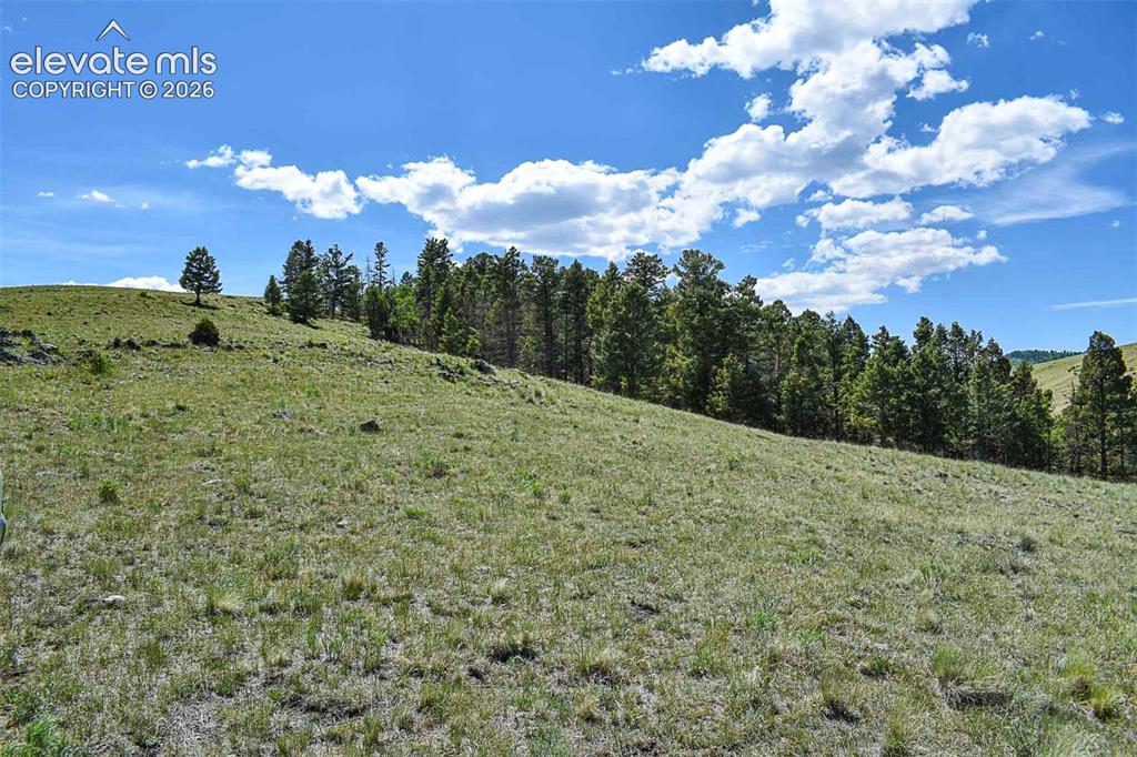 0 Bear Cat Road Guffey, CO 80820 - Photo 26 of 40