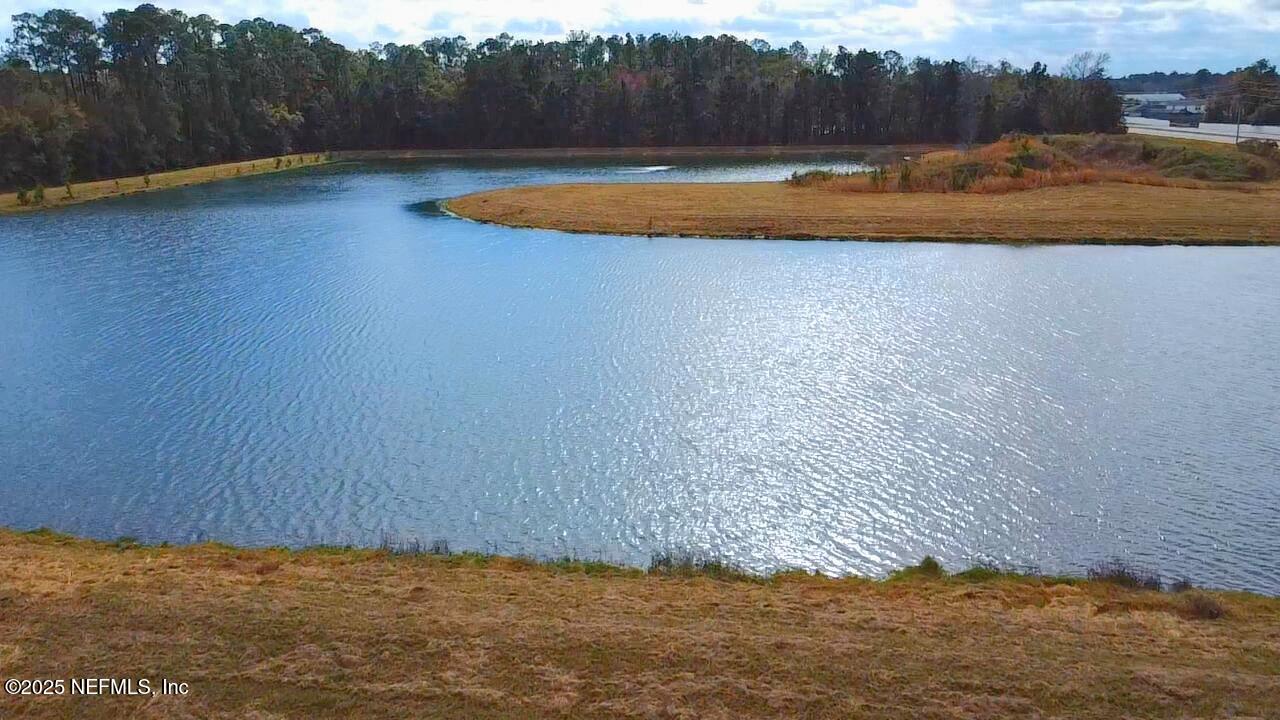 3228 Talisman Drive Middleburg, FL 32068 - Photo 29 of 29 a view of a backyard