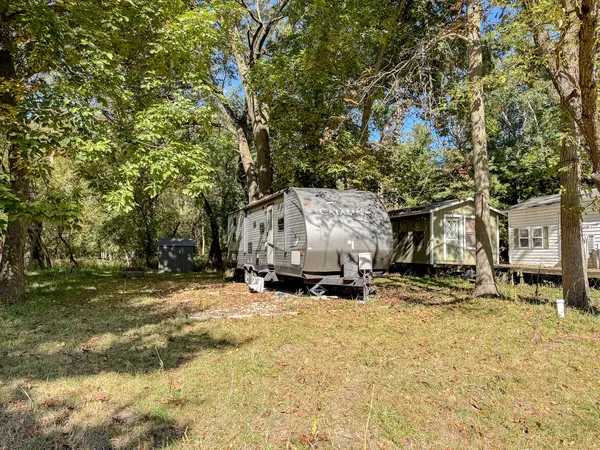 a tall tree in middle of a yard