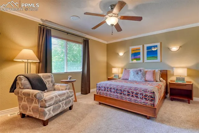 a bedroom with a bed and a couch