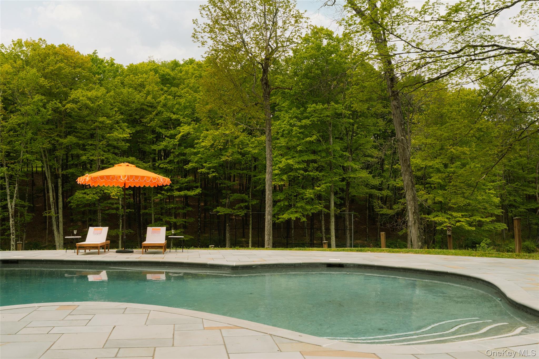 1046 Bulls Head Road Clinton Corners, NY 12514 - Photo 34 of 46 a view of a swimming pool with a table and chairs under an umbrella